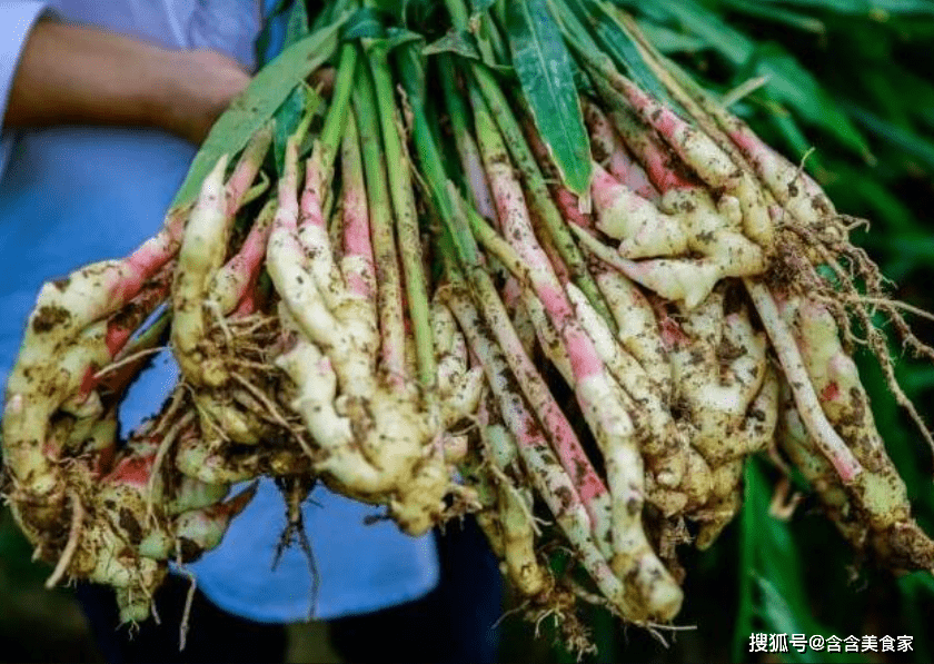 原创 安徽铜陵六大特色美食盘点，当地最大的“招牌”料理排首位 