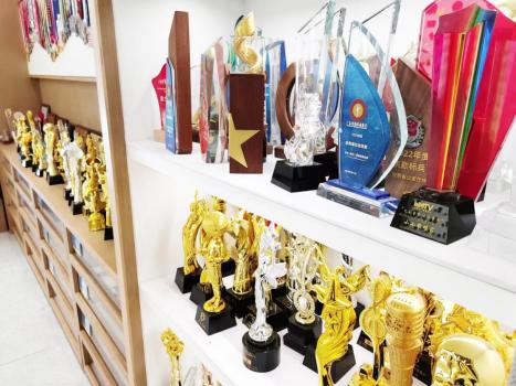 老板和员工都喜爱的金奖杯,藏不住的高级感,年会超级加分!