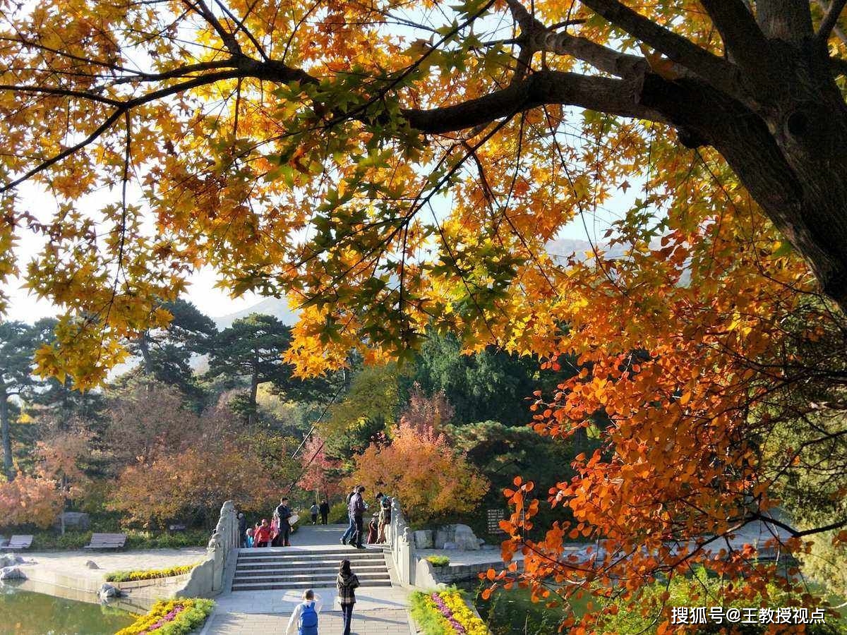 產學研視點|北京香山公園的力學文化特色_原理_建築_藝術