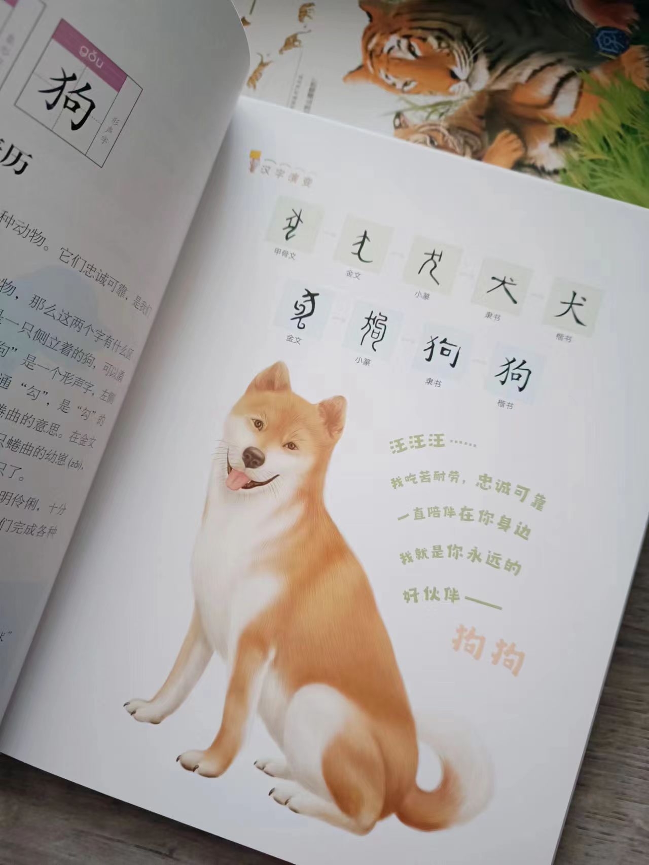 符合大語文體系的動物科普找到了!_實驗_百科_犀牛