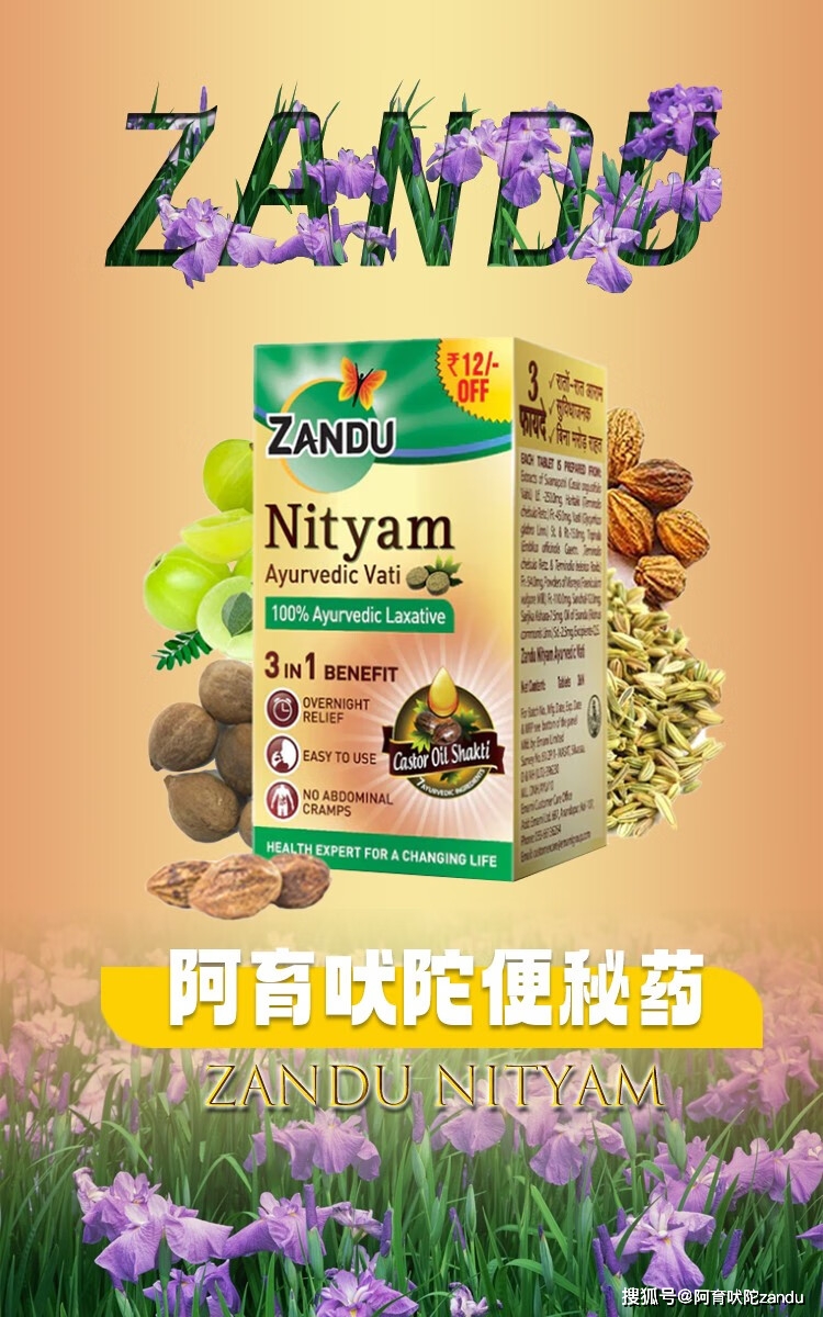 印度阿育吠陀便秘药介绍