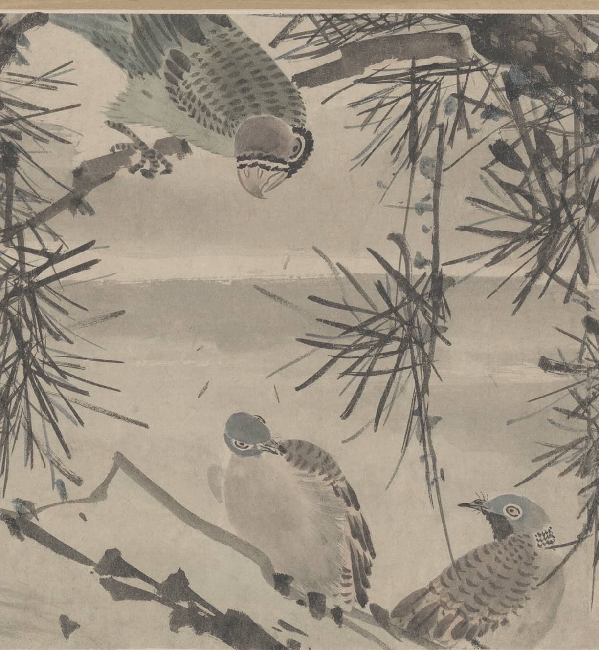 『历朝名绘』林良《灌木集禽图》全卷,精品巨制,景象万千_写意_花鸟画