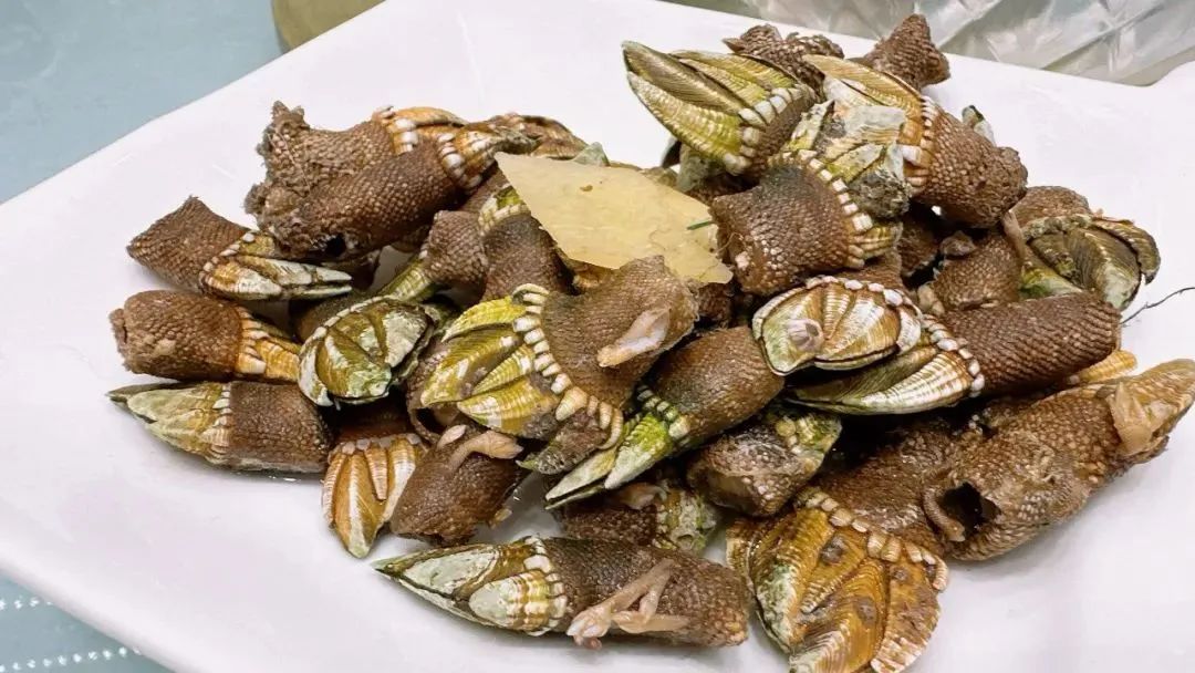 心灵和味蕾的同步舞动,狠狠的治愈力→_霞浦_图片_宁德