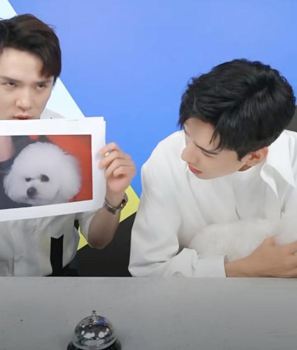 中龚俊与李佳琦和网友们进行了许多的互动,包括抱着小狗佩奇做表情包