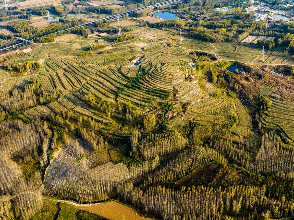 青岛胶州市洋河镇:梯田秋色醉人心_画卷_田园_青山
