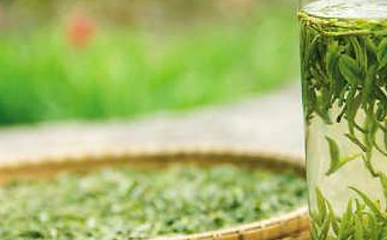 茶友最喜欢喝的8种茶,喝过5种以上才是真“茶友”!你喝过几种?(图6) 茶友最喜欢喝的8种茶,喝过5种以上才是真“茶友”!你喝过几种?(图6)