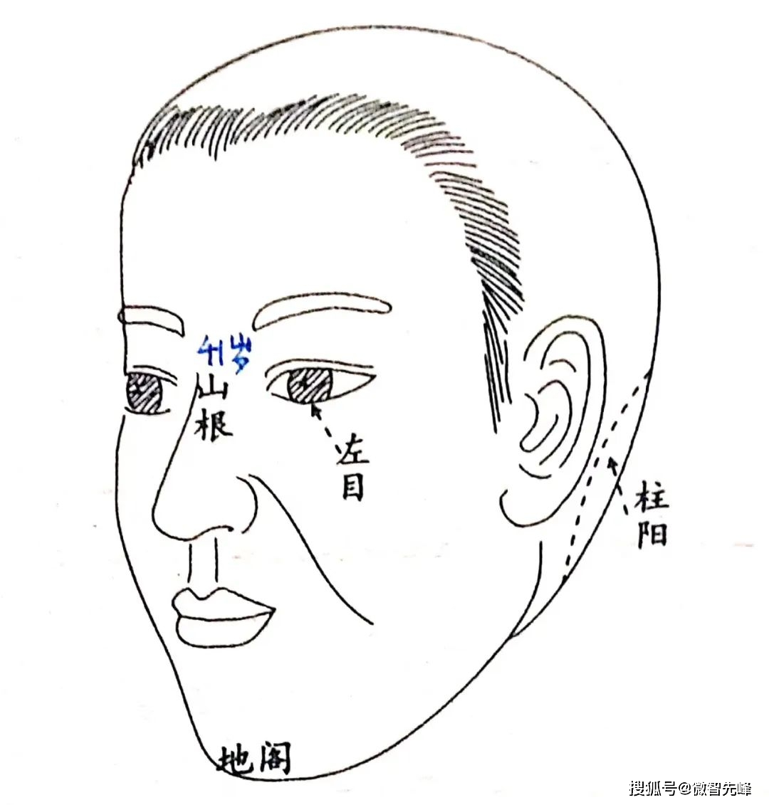 光殿计都论,印堂定大运】所谓精舍,光殿,那是左右眼头的眼盖位置,左眼