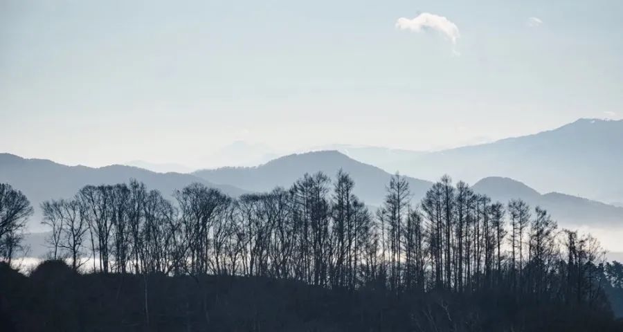 家电线下门店生意正迎来一轮质变拐点-家电圈官网