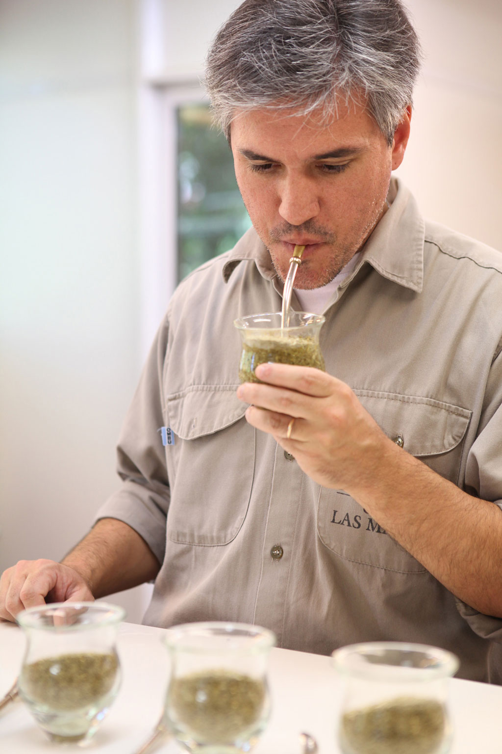 马黛茶是怎么生产和制作出来的?