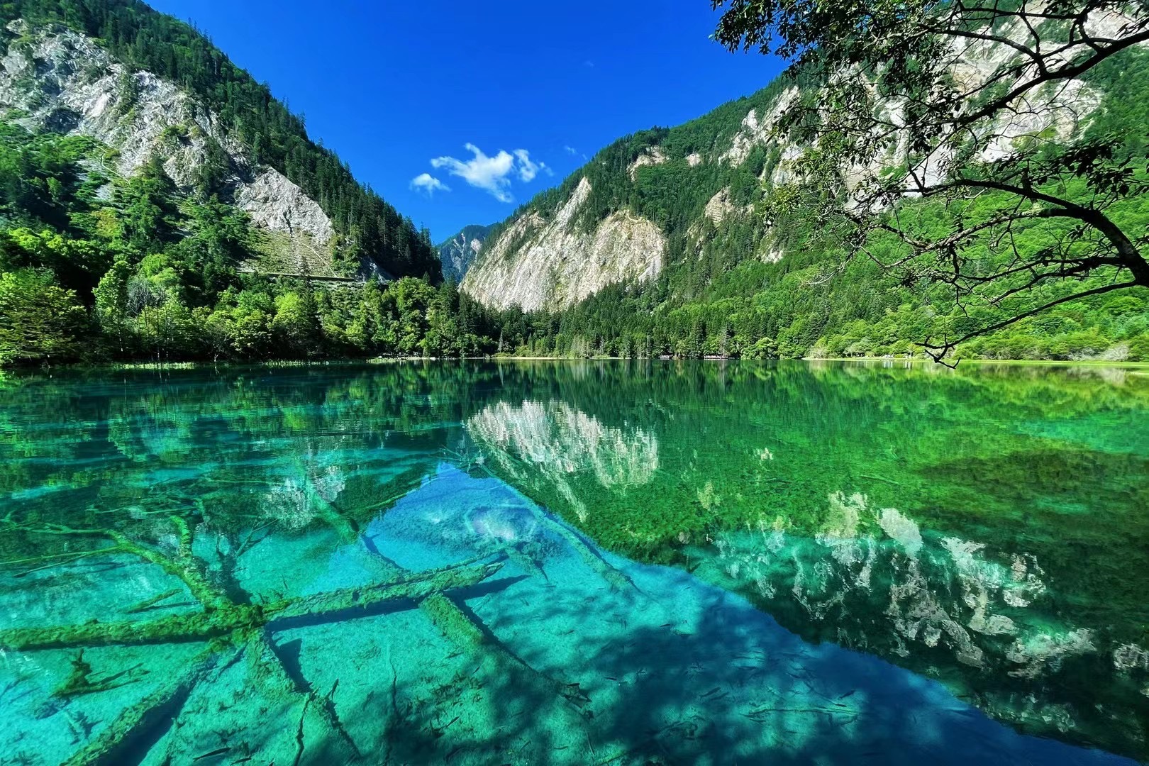 九寨沟黄龙机场旅游包车租车机场接送机攻略