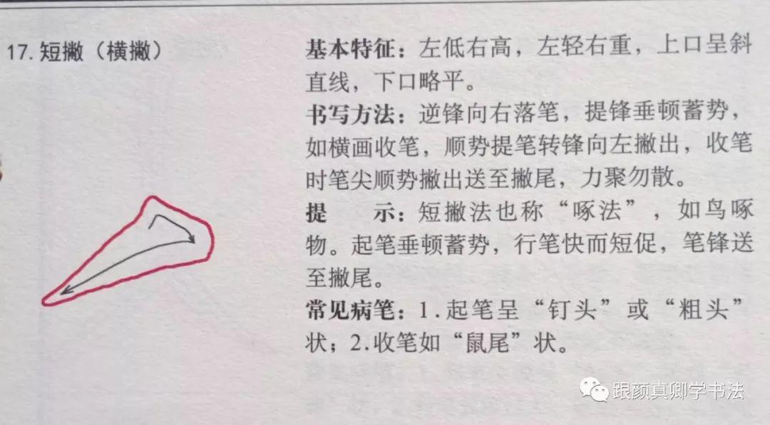 收藏一文吃透一帖勤礼碑全部点划图解61文释61单钩61双钩61范