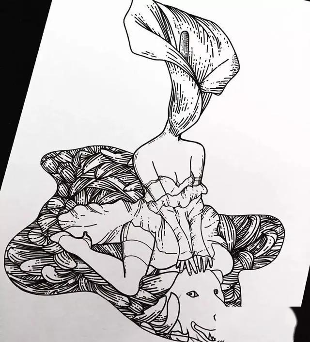 26幅手绘精选8张彩绘18张黑白针管笔手绘勾起我的临摹欲