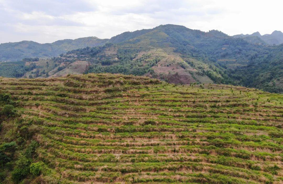 冲刺90天打赢歼灭战吴泉安带队到贞丰县白层镇坡烂村开展脱贫攻坚帮扶