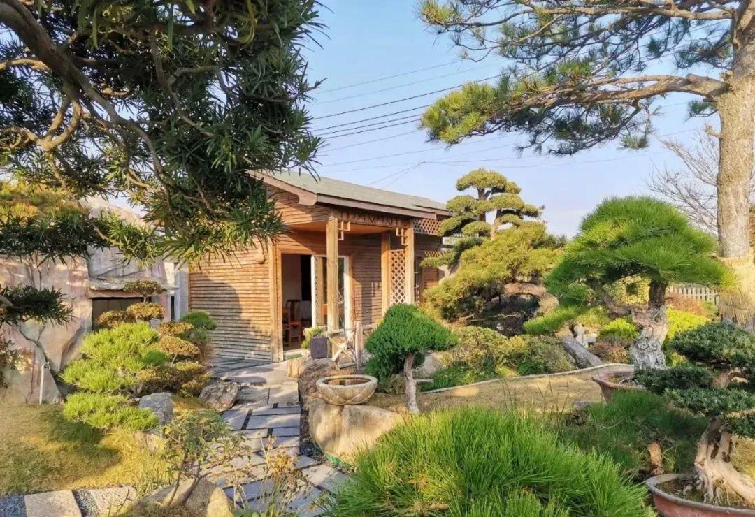 看了这些庭院你立马想回农村