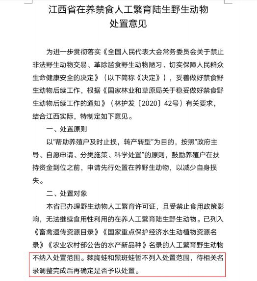 黑斑蛙棘胸蛙有轉機江西紅頭文件稱暫不列入處置範圍待相關名錄調整