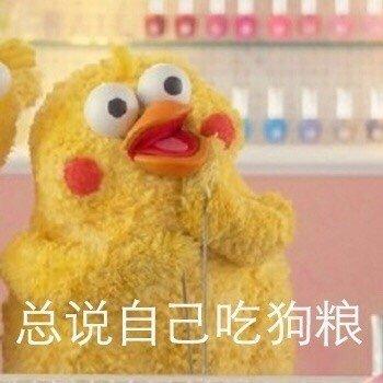 鹦鹉兄弟表情包|对不起,情人节虐不了我,我最爱的是钱_手机搜狐网