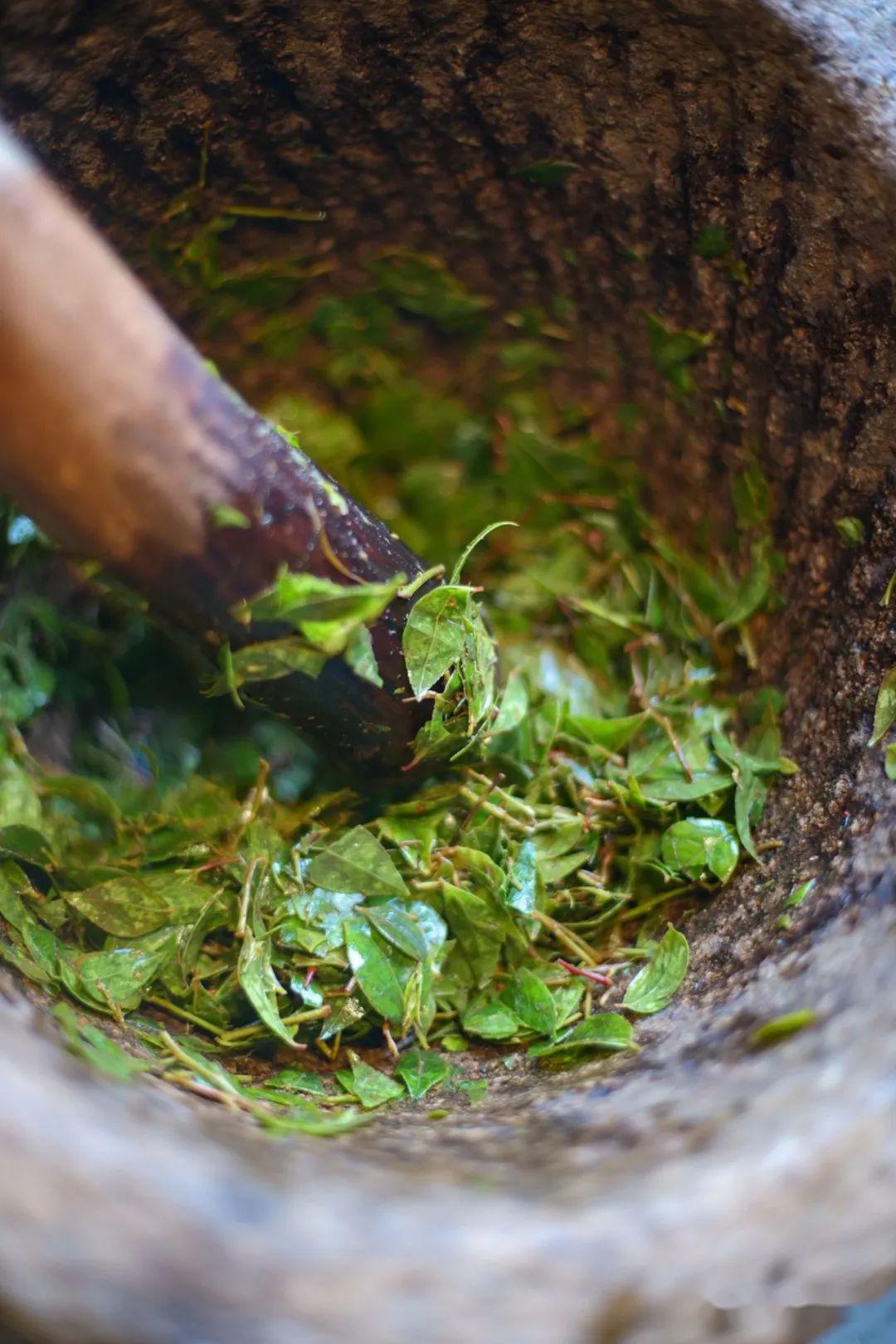 喜乐吴中丨初夏一碗乌米饭人间有味是清欢