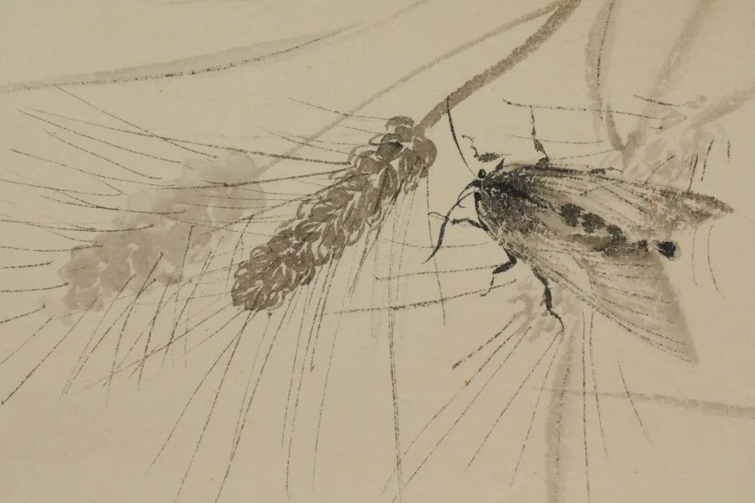 王充书画新作微展小满遇见520