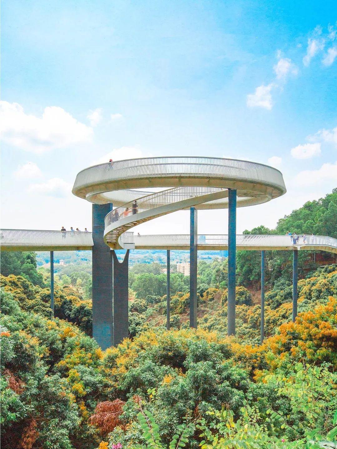 网红悬浮桥深圳也有了还不要门票你来过这里吗