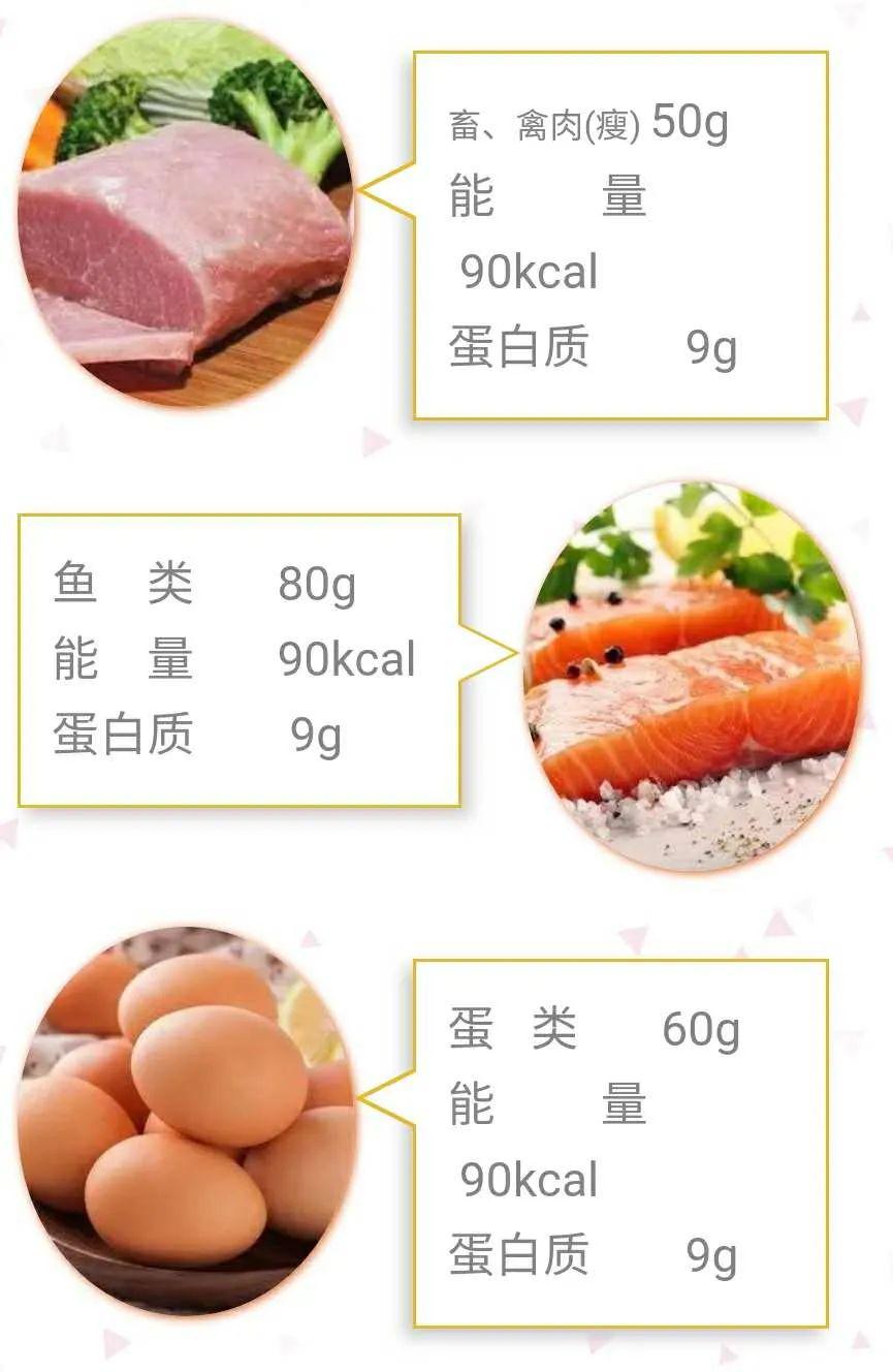 肉类包括禽,畜和鱼的肌肉,新鲜肌肉含蛋白质15%~22%;蛋类含蛋白质11%