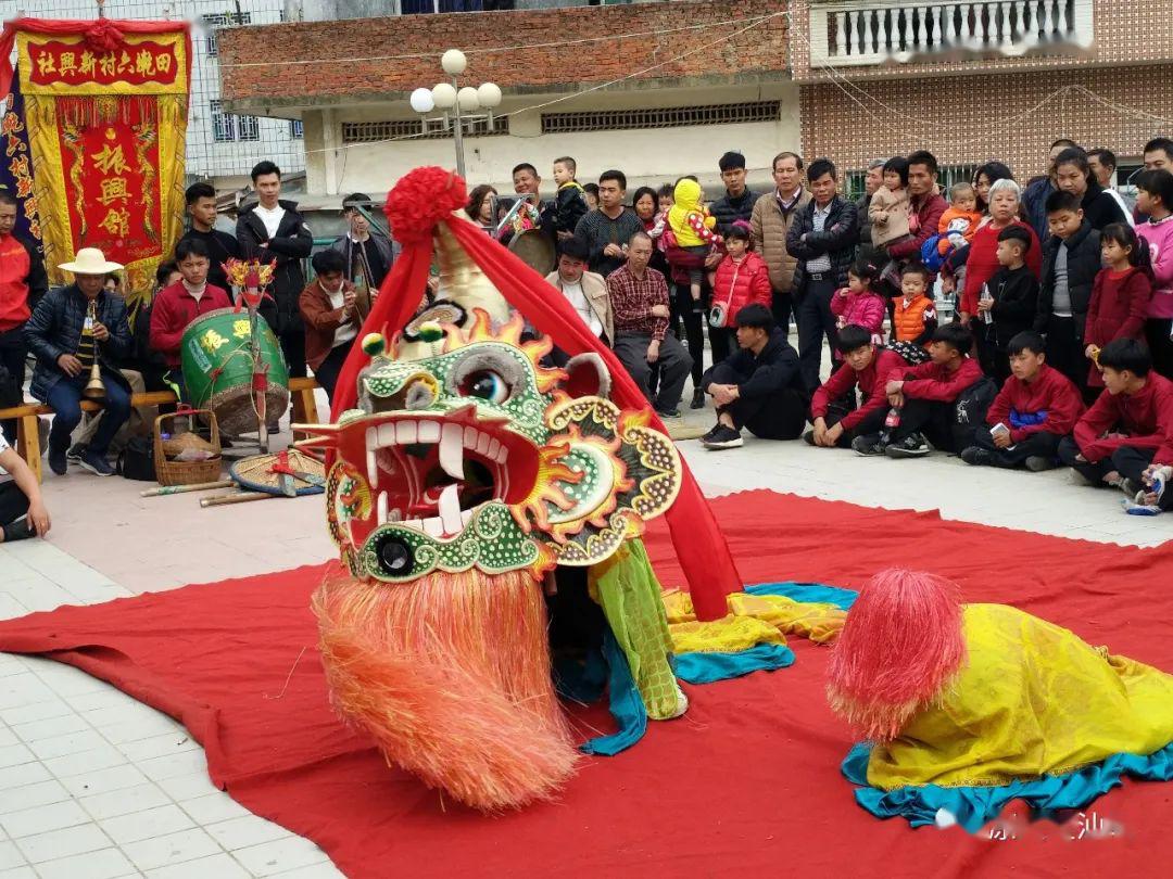 惠东麒麟狮图片图片