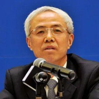 两会聚焦曾少军主持十四五新能源发展研究结题评审