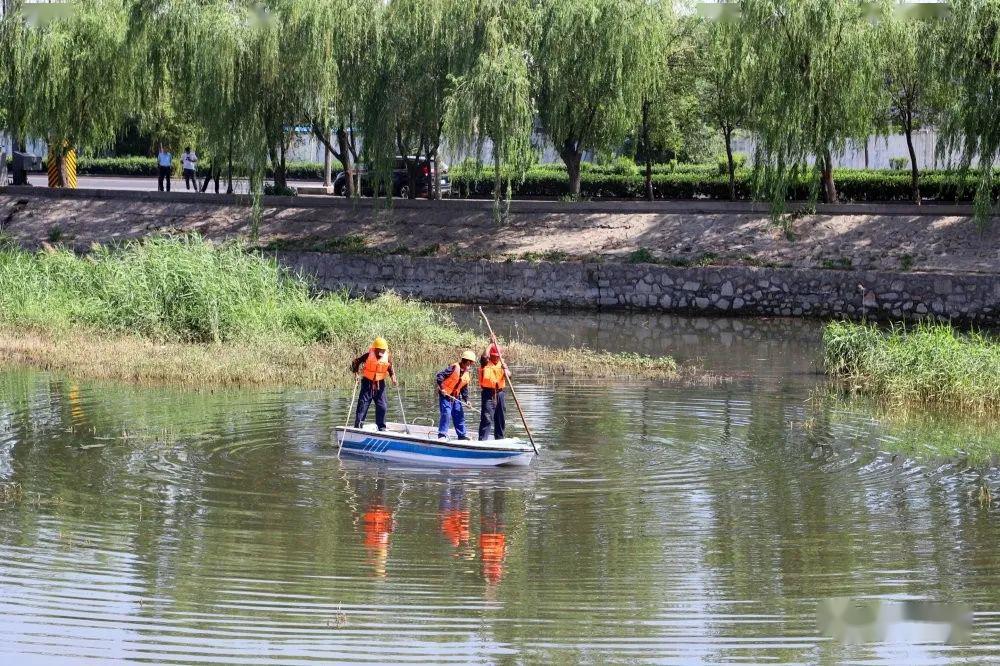 邯郸市政府副市长高和平到复兴区调研渚河整治工作