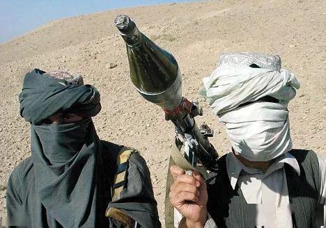 【蝶语兰心】爱扎势的塔利班║樊开峰