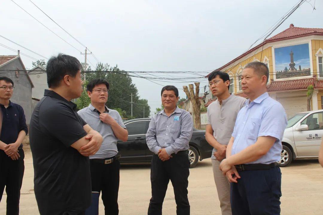 县委常委统战部长孟庆华到张坊镇实地调研白集村创建省级乡村振兴示范