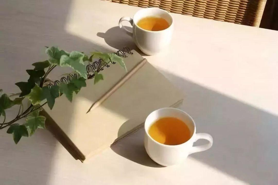 闲观叶落地,静坐一杯茶