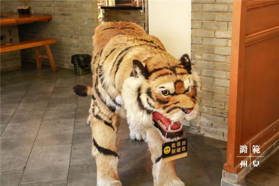 一进门就被一只大老虎,吓了一跳,仿真度很高.带小孩来的要注意了!