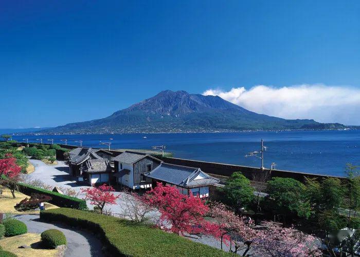 亚细亚大学,福冈大学,神户艺术工科大学,神田外语大学,四日市大学