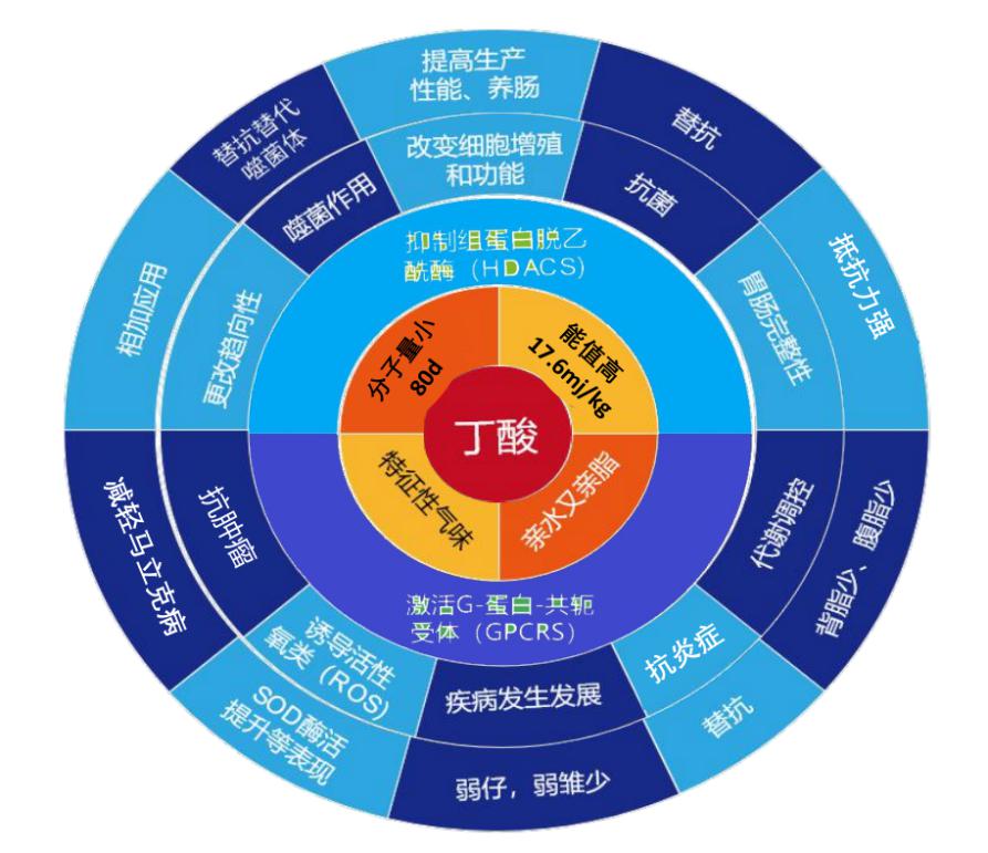 亚洲最大丁酸盐生产商,新奥农牧致力于打造长,中,短链脂肪酸全产业链