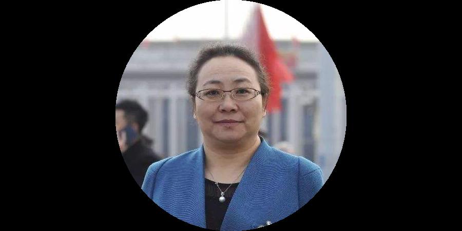 "伊利代表"的建议可行吗? || 每周人物