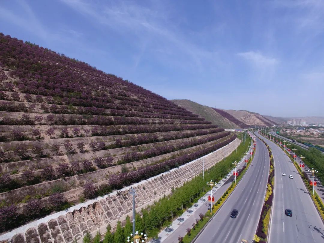 会宁西岩山发现