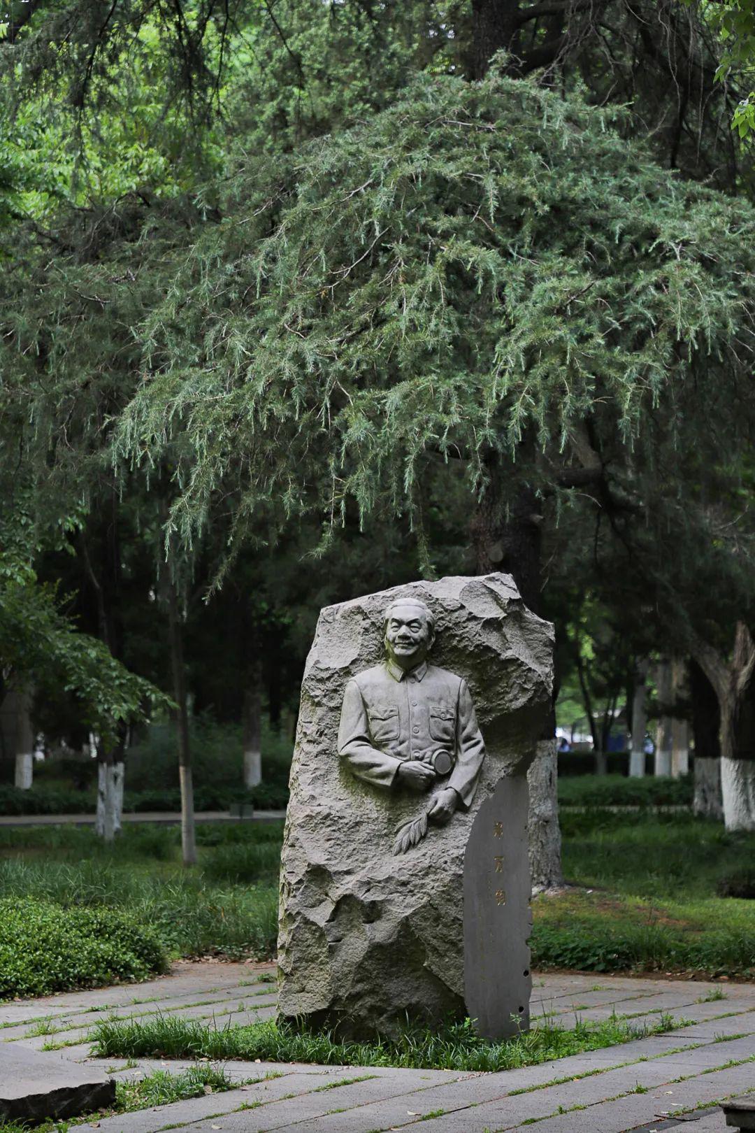 南林初夏|你印象中的南林夏天是什么模样?