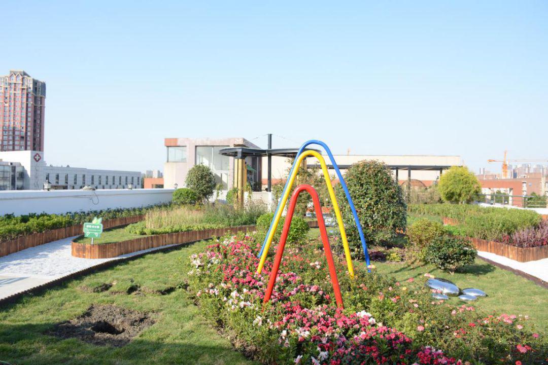 博雅研究丨战疫康养治愈系之五感花园漫谈(下)_手机搜狐网