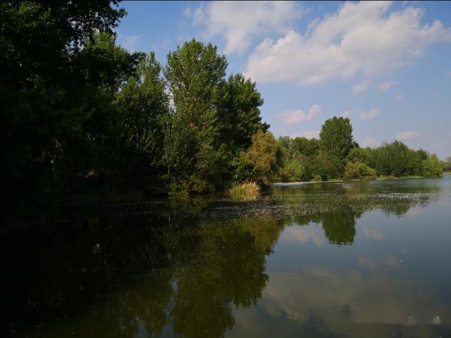 净水亭台沈阳浑河王家湾深藏诱人美景