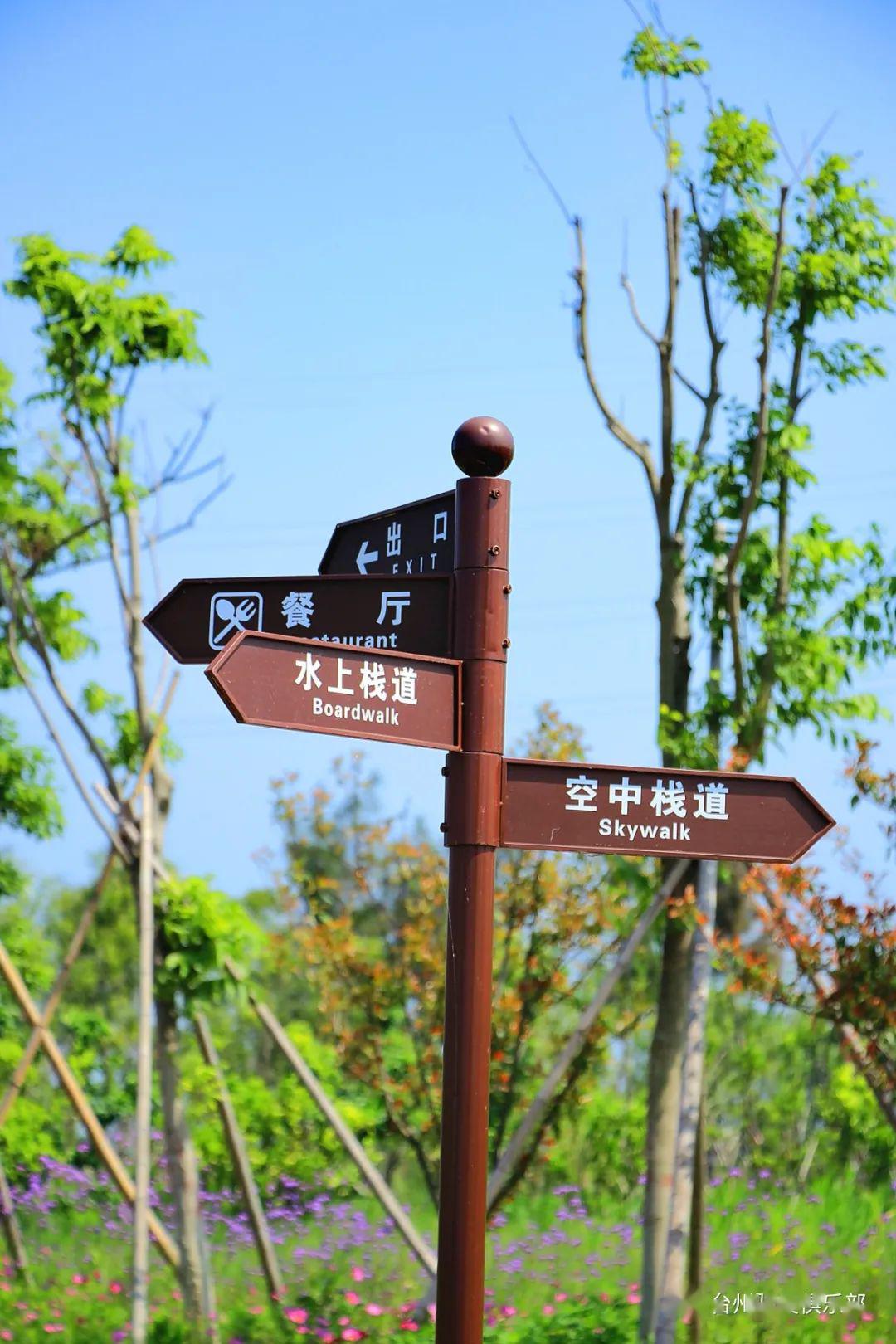 台州湾湿地公园门票图片