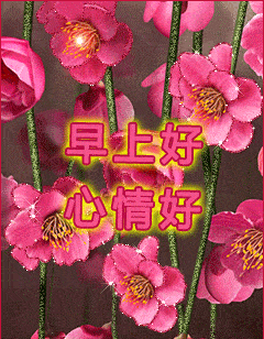 人生之苦苦在选择人生之难难在放弃早安