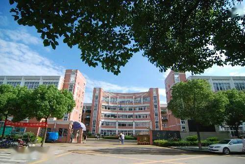 蔚斗小学2020年秋季一年级新生招生公告