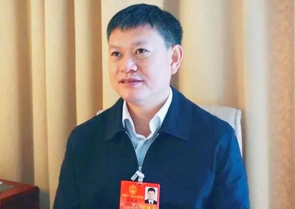 全国人大代表天门市委书记庄光明专访三送行动三链招商打好疫后经济