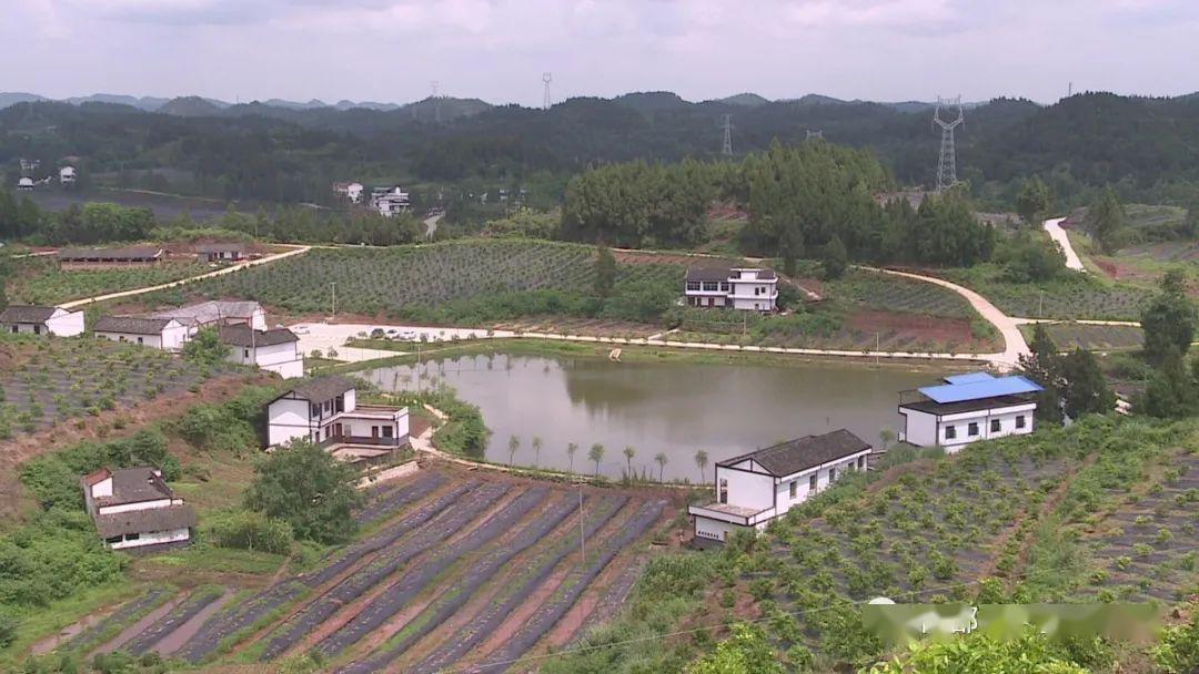 日前從南部縣農業農村局獲悉,近年來,南部縣大力培育新型職業農民