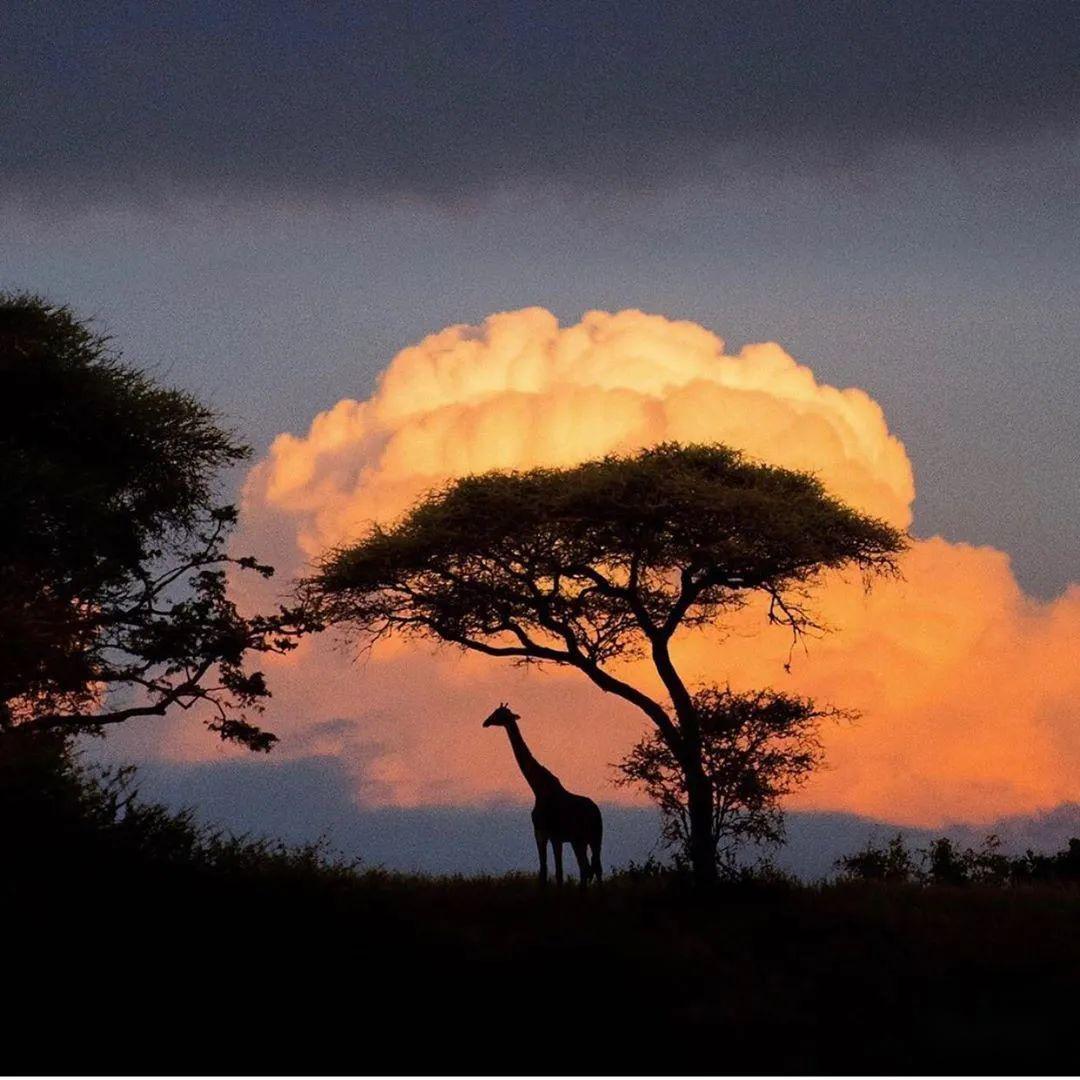 【放个轻松的图集】入夏了 突然想下水了