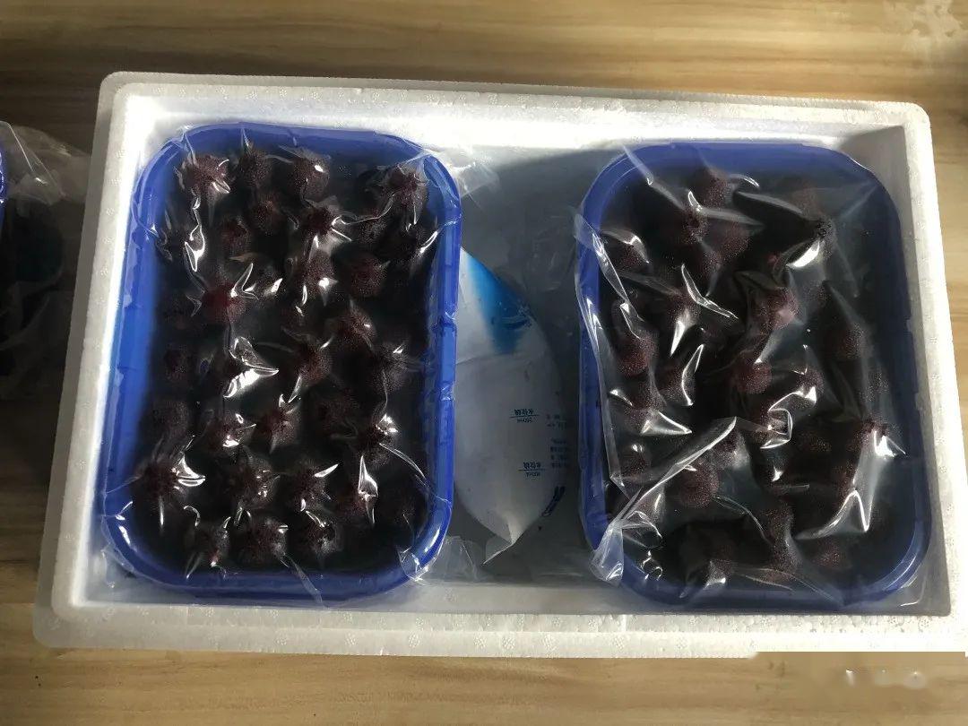 直采直播预告永新珍好带您走进杨梅基地