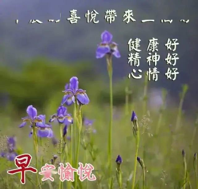 7張早上好祝福語圖片推薦,早安圖片帶字帶問候語