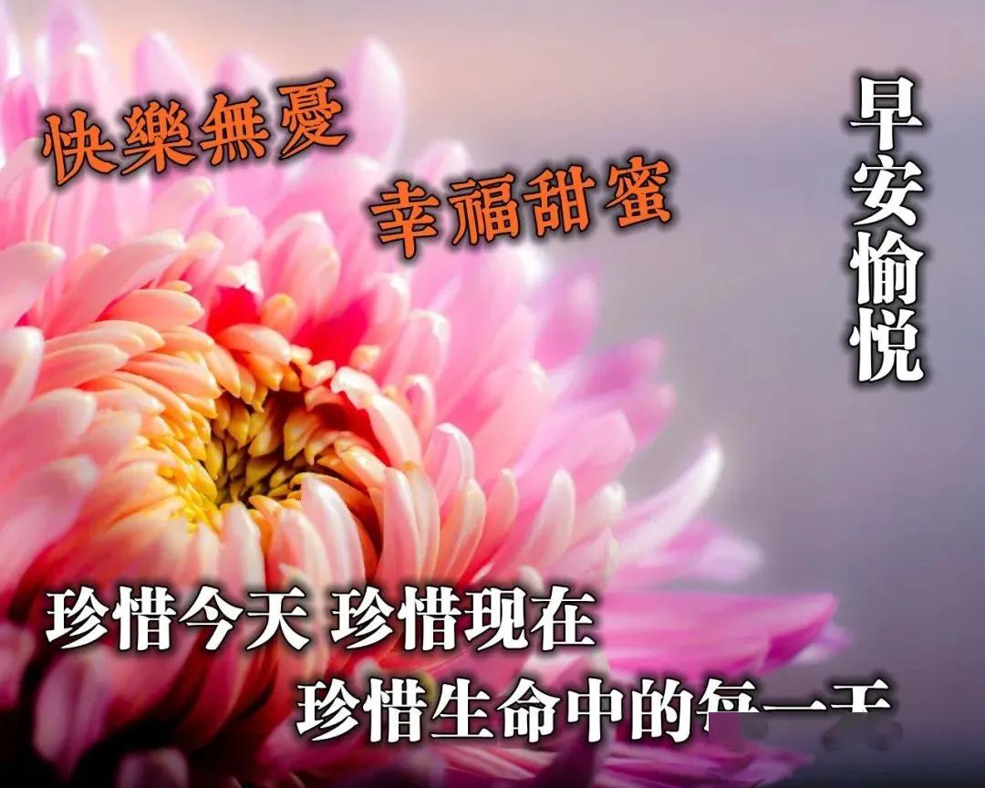 早晨好祝福表情早晨好图片大全2020