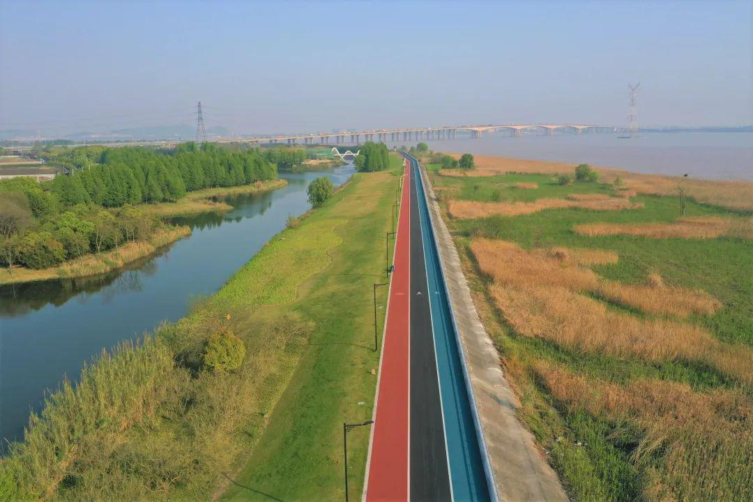 奔跑吧新区这条绿道上榜杭州最美