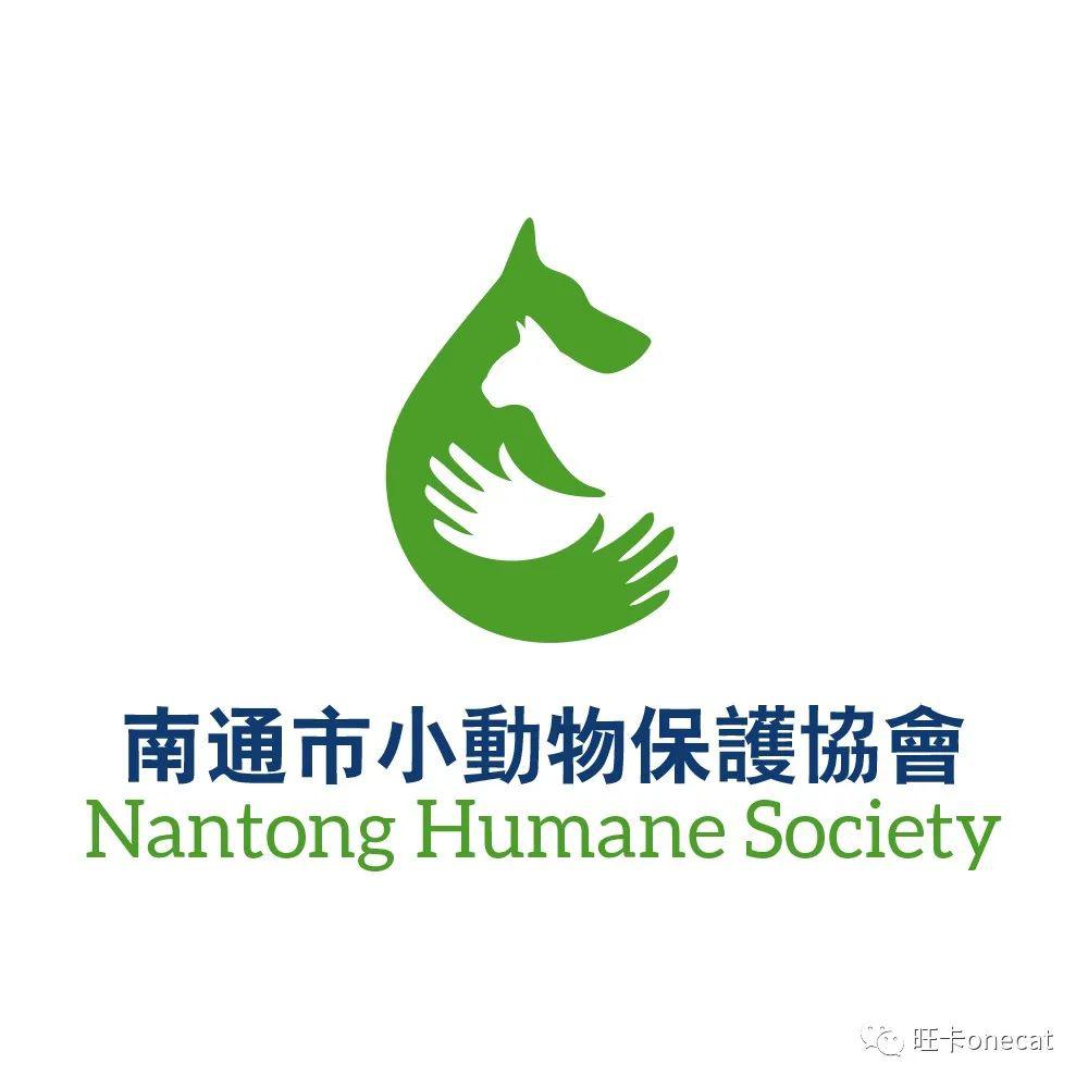 南通小动物保护协会南通江海小动物救助中心领养对比图免费给梦之蓝