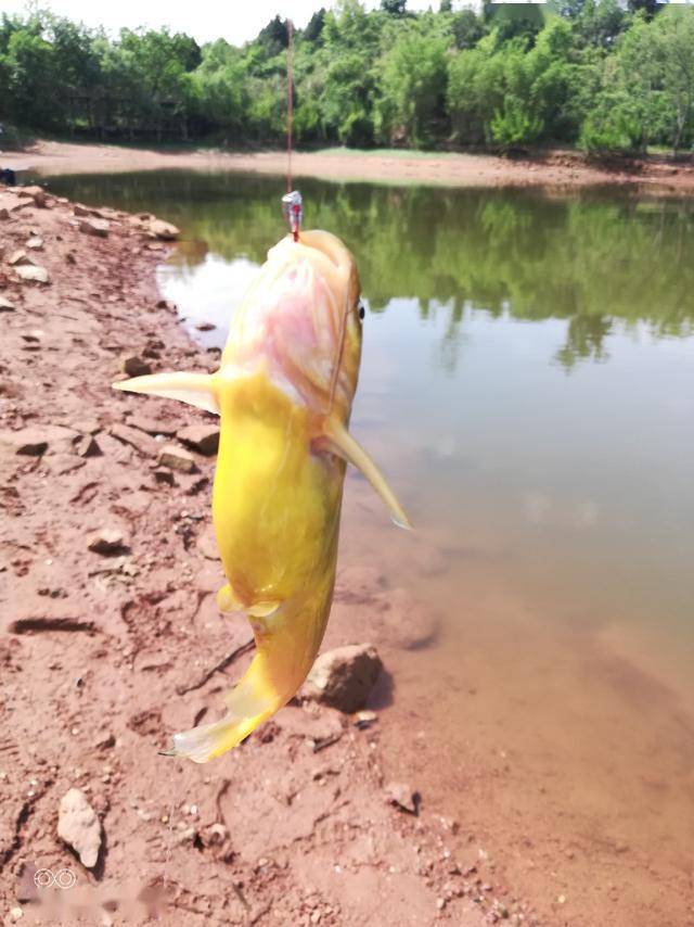 三岔湖月亮岛图片